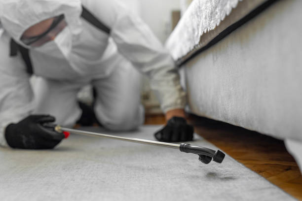 Professional Termite Control technician working in Paxtonia, PA