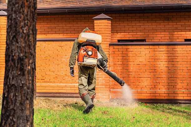 Trusted Termite Control service in Paxtonia, PA - Nex Pest Control